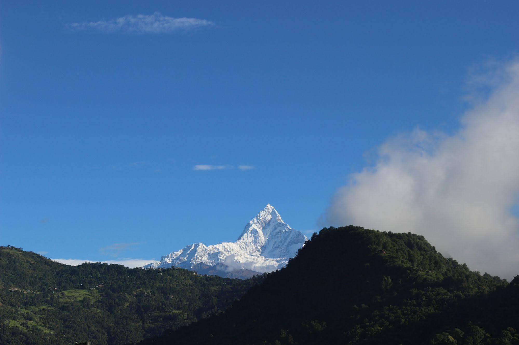 Hotel Buttercup Pokhara Dış mekan fotoğraf