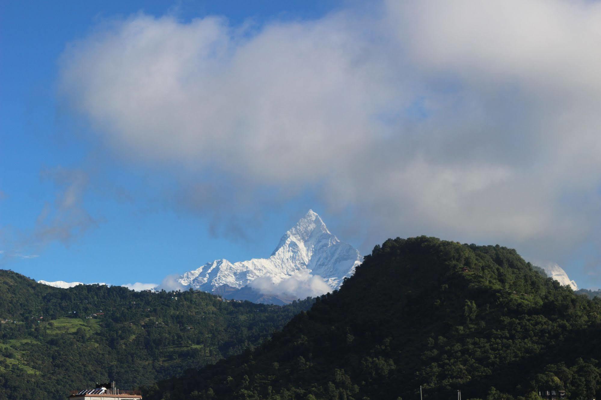Hotel Buttercup Pokhara Dış mekan fotoğraf